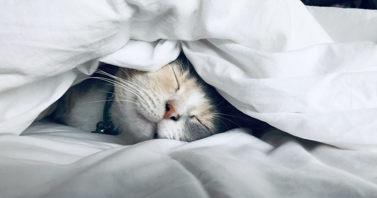 Why Sleep and Mental Health Are Deeply Connected